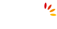 ESGM - École Supérieure de Gestion & de Management
