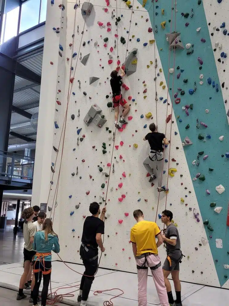 Cours d’escalade pour nos étudiants BPJEPS dans notre école de Mulhouse. Force, équilibre et concentration : nos étudiants développent leurs compétences physiques et techniques pour leur futur métier.